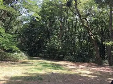 Photo de Bois Regional de Verneuil