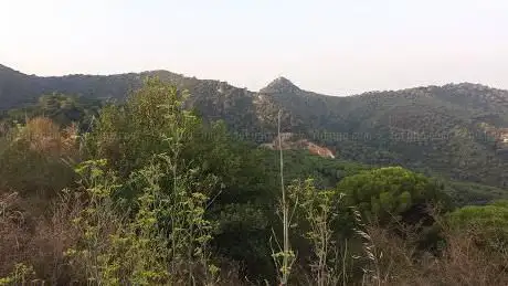 Photo de Plana dels Matxos