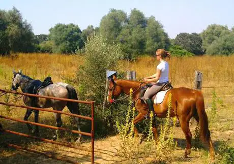 Photo de Alcantara Ecuestre