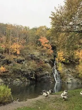 Photo de August Kobb Pond Waterfall