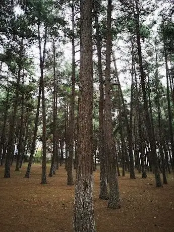 Photo de Enver Adakan Parkı