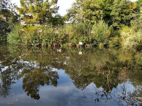Photo de Dragonfly Lake