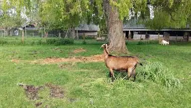 Foto de La Ferme Européenne Des Enfants