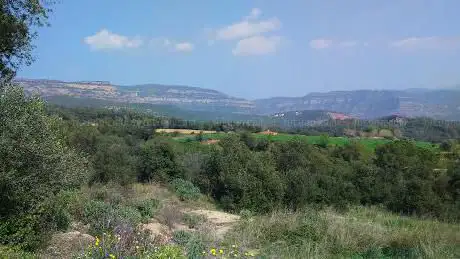 Photo de Bosc Bigues I Riells