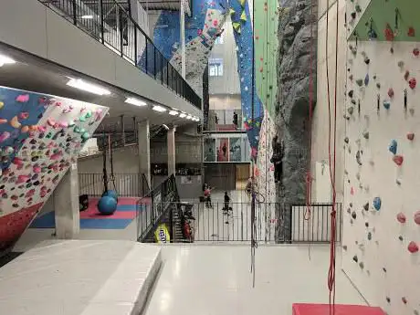 Photo de IVY climbing