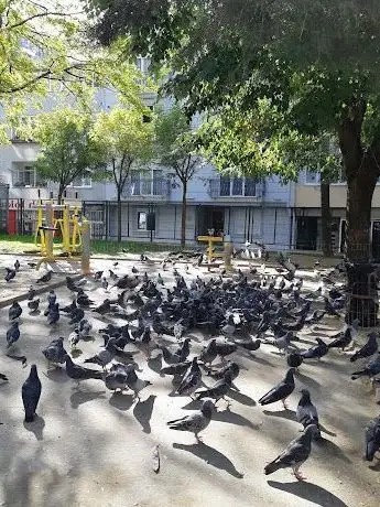 Photo de T.C. Kağıthane Belediyesi Hürriyet Parkı