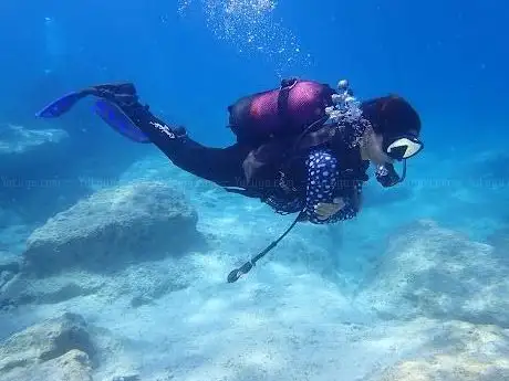 Photo de Blue Bubble - İstanbul Dalış