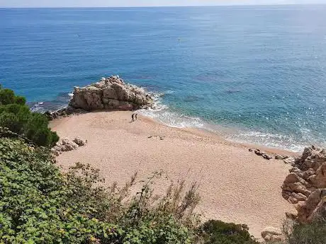 Photo de Cala Roca Grossa