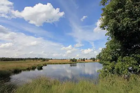 Photo de De Hamert (Nationaal Park)