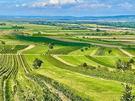 Photo de Ungerberg Aussichtsturm