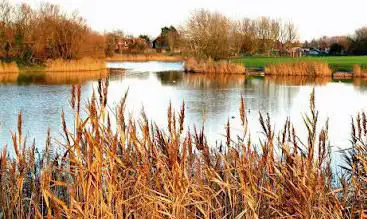 Photo de Apex Leisure & Wildlife Park