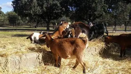 Photo de Farm School The Alamo