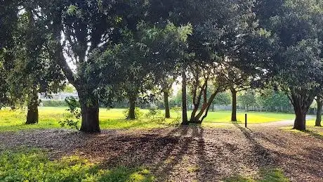 Ringsend Park Playground