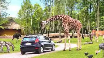 Photo de Wild World Safari Park