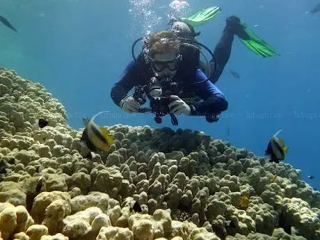 Photo de Mr.Diver Sharm