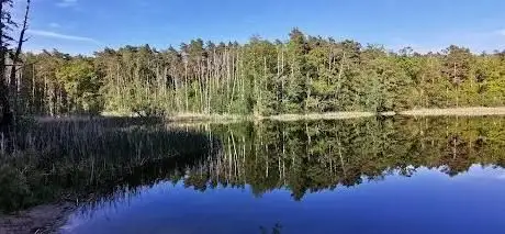 Photo de Herzberger See