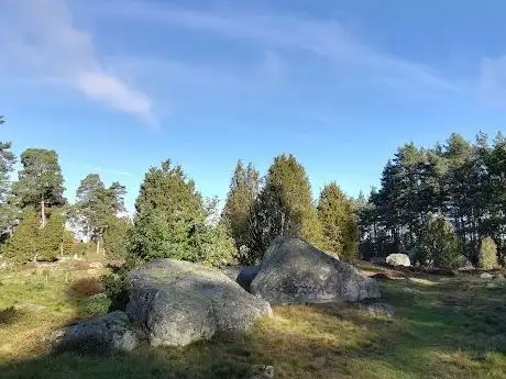 Photo de Wikingergräberfeld