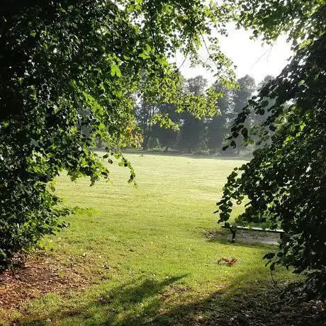 Photo de Lion Wood