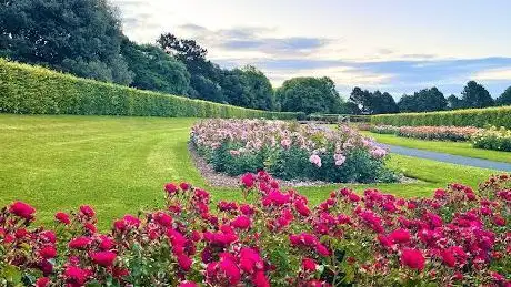 Photo de St. Anne’s Rose Garden