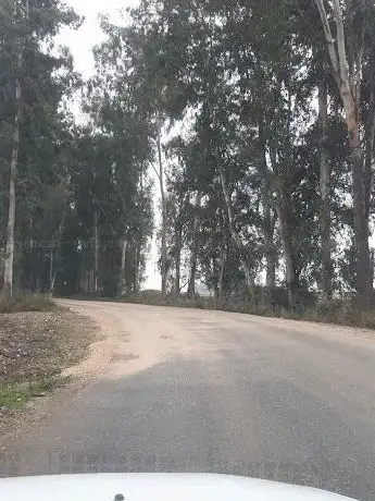 Photo de Gökçeler Parkı