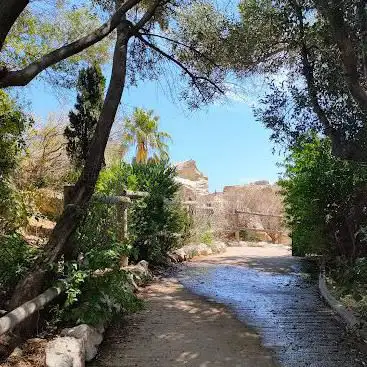 Photo de Benedetti Garden
