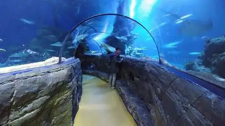 Photo of SEA LIFE London Aquarium