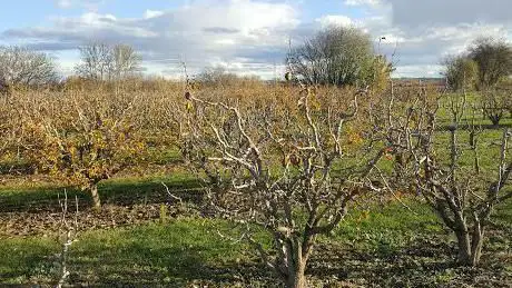 Photo de CamÃ­ del Riu - Canal de Seròs