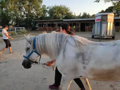 Photo de Viti Horse Club