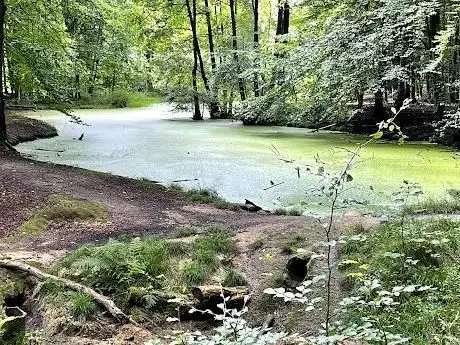 Photo de Grävingholz