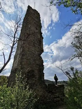 Photo de Ruine Falkenberg