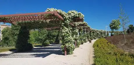 Photo de Sol y el Agua Garden