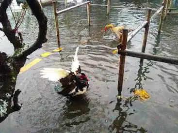 Photo de La Ferme Du Ruddy