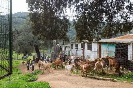 Photo de Finca Los Robledos