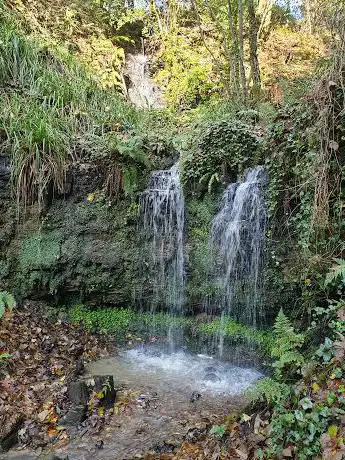 Photo de Dripping well.