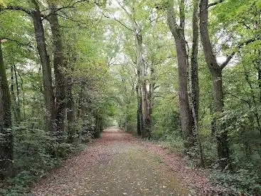 Foto de Parc des Poumons Verts