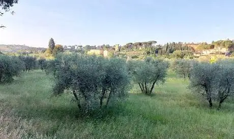 Photo de Area Cani Del Boschetto