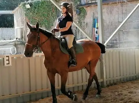 Photo de Quinta Da Folha