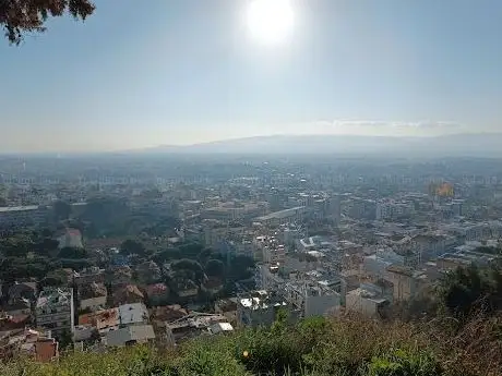 Photo de 17 Nisan Köy Enstitüleri Ormanı