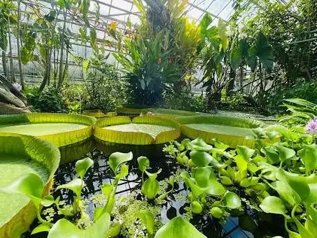 Photo of Jardin Botanique Jean-Marie Pelt