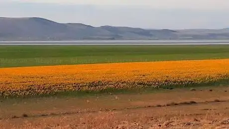 Photo de Lake Ilgın
