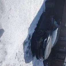 Photo de Terrain de soccer du parc de la Confédération