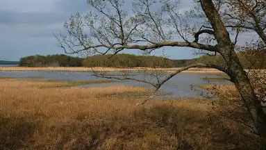 Photo de Elizabeth Hartwell Mason Neck National Wildlife Refuge