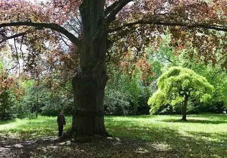 Photo of Jardin botanique de Metz