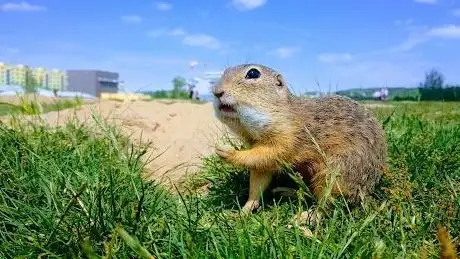 Photo of Nature Preserve Radouč