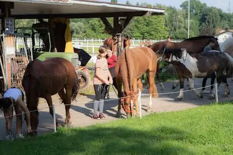 Photo de Freiberger Pferde Reitschule Ludäscher