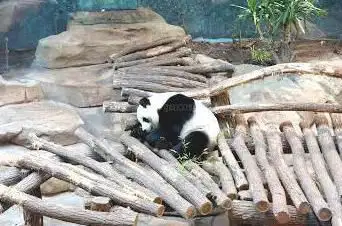Photo de Plaine Asiatique