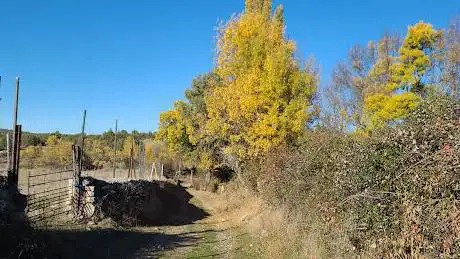 Photo de La Enebra de Sigueruelo
