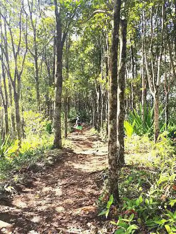 Photo de Sentier de Grande Randonnée R2