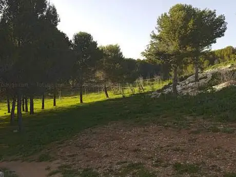 Photo de Merendero Esparrales