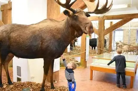 Photo de Naturmuseum